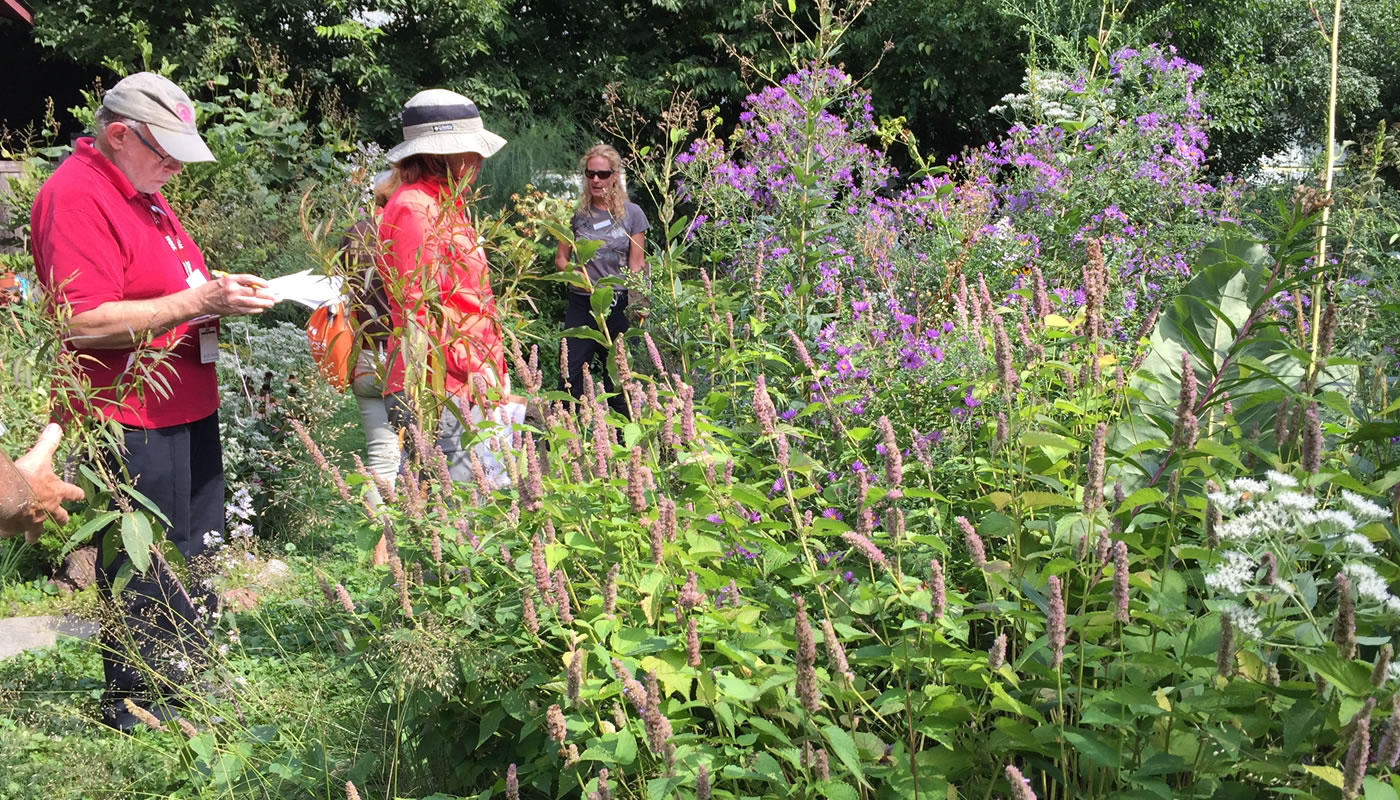 people evaluating a home garden