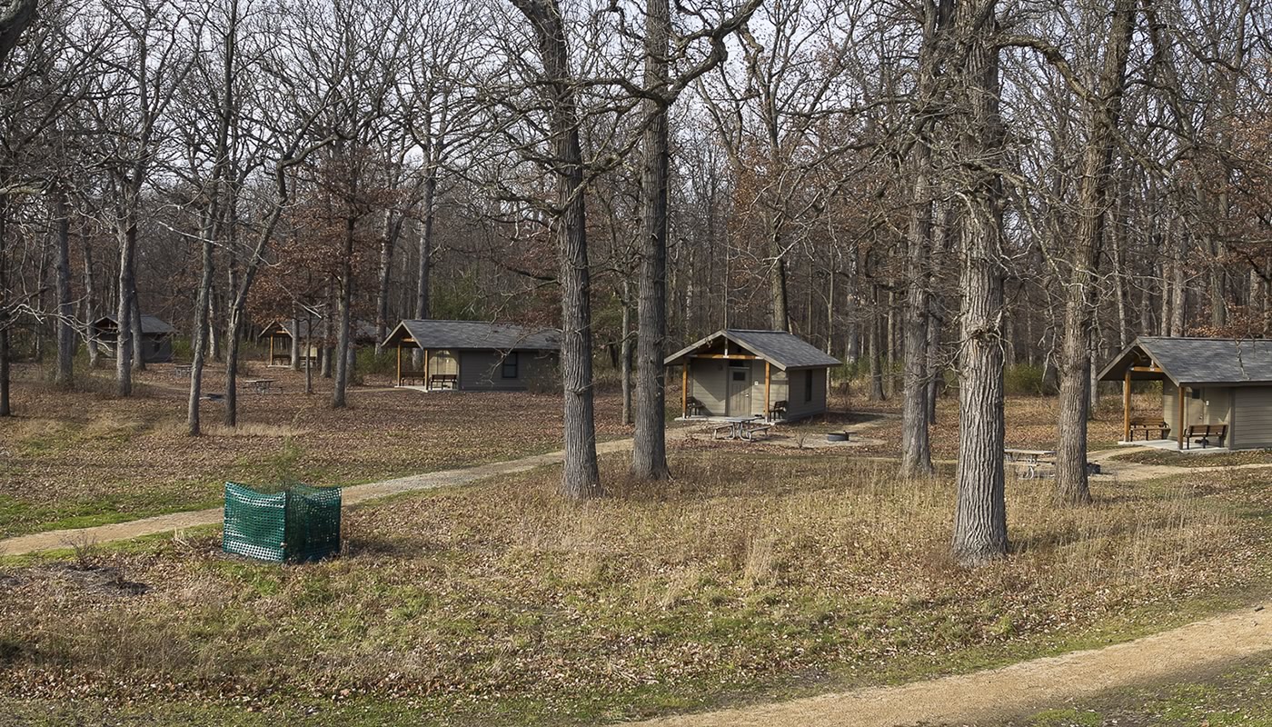 cabins in the woods at Camp Dan Beard