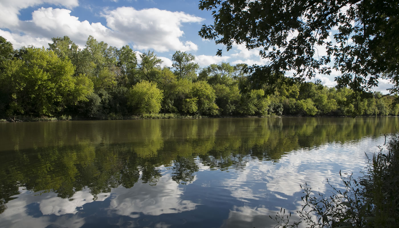 the Des Plaines River at Columbia Woods