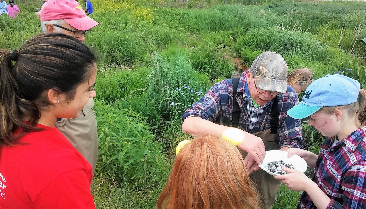 a group of volunteers looking at a water sample while monitoring macroinvertebrates at Deer Grove.