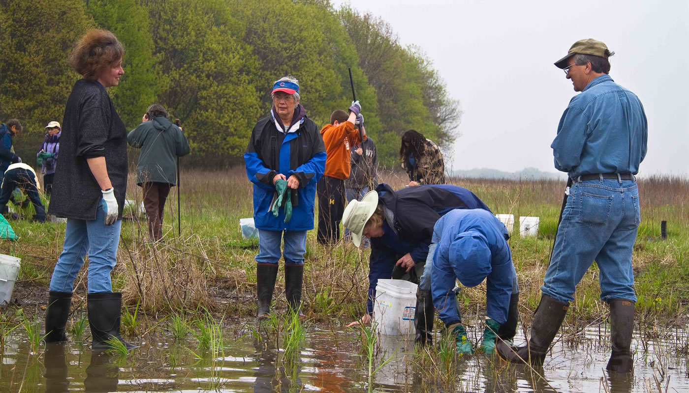 volunteers restoring a wet area at Bartel Grassland