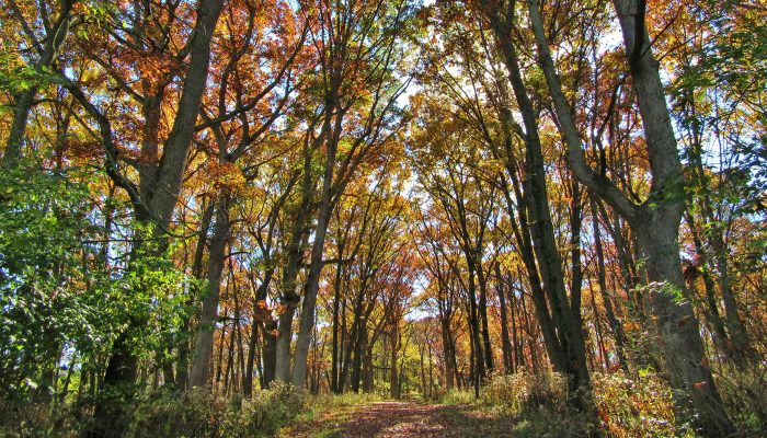 Cap Sauers Holding on the Sag Valley Blue Unpaved Trail - photo by Kevin Coyote-Trust