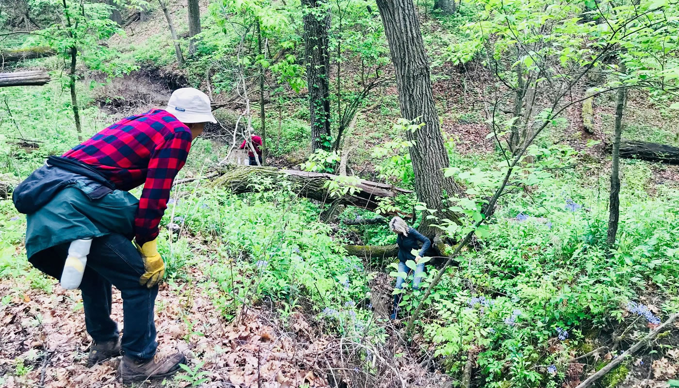 volunteers at a workday at Cap Sauers Holding