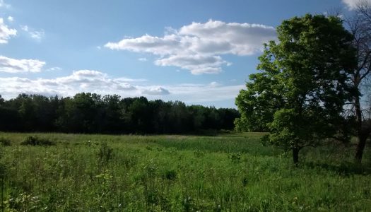 Crabtree Nature Center - Forest Preserves of Cook County