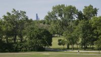 Dan Ryan Woods with the Sears Tower in the background