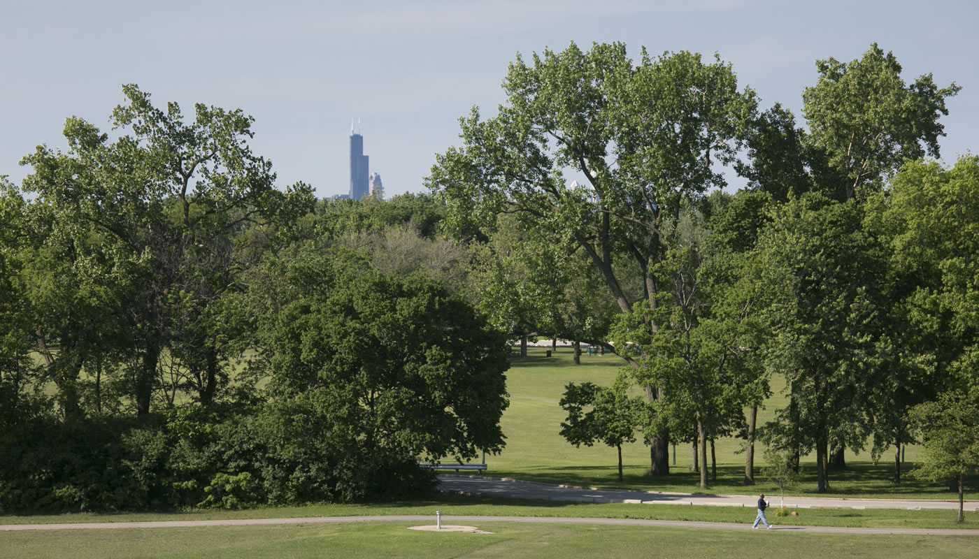 Dan Ryan Woods with the Sears Tower in the background