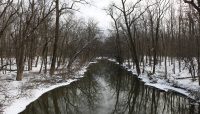 the North Branch of the Chicago River at Harms Woods