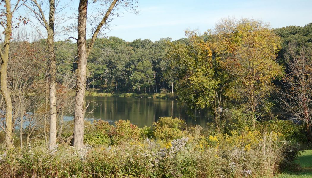 Events from Fri, July 5 Sun, July 7 Forest Preserves of Cook County