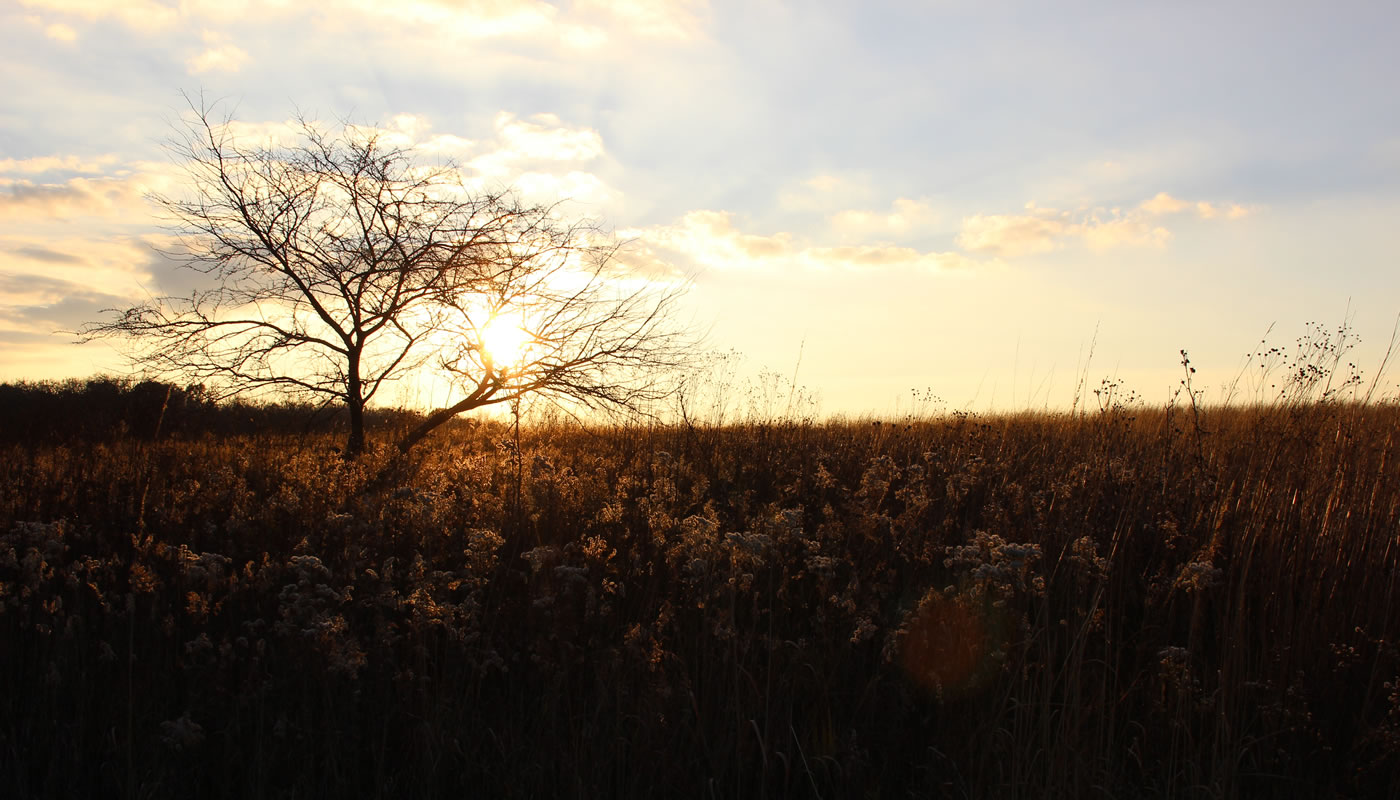 Sunset at Arthur L. Janura Preserve