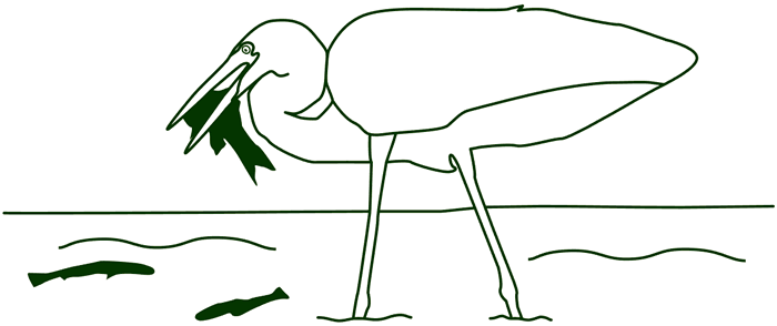 diagram of egret hunting