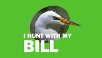 Great egret photo featuring words: I Hunt with My Bill