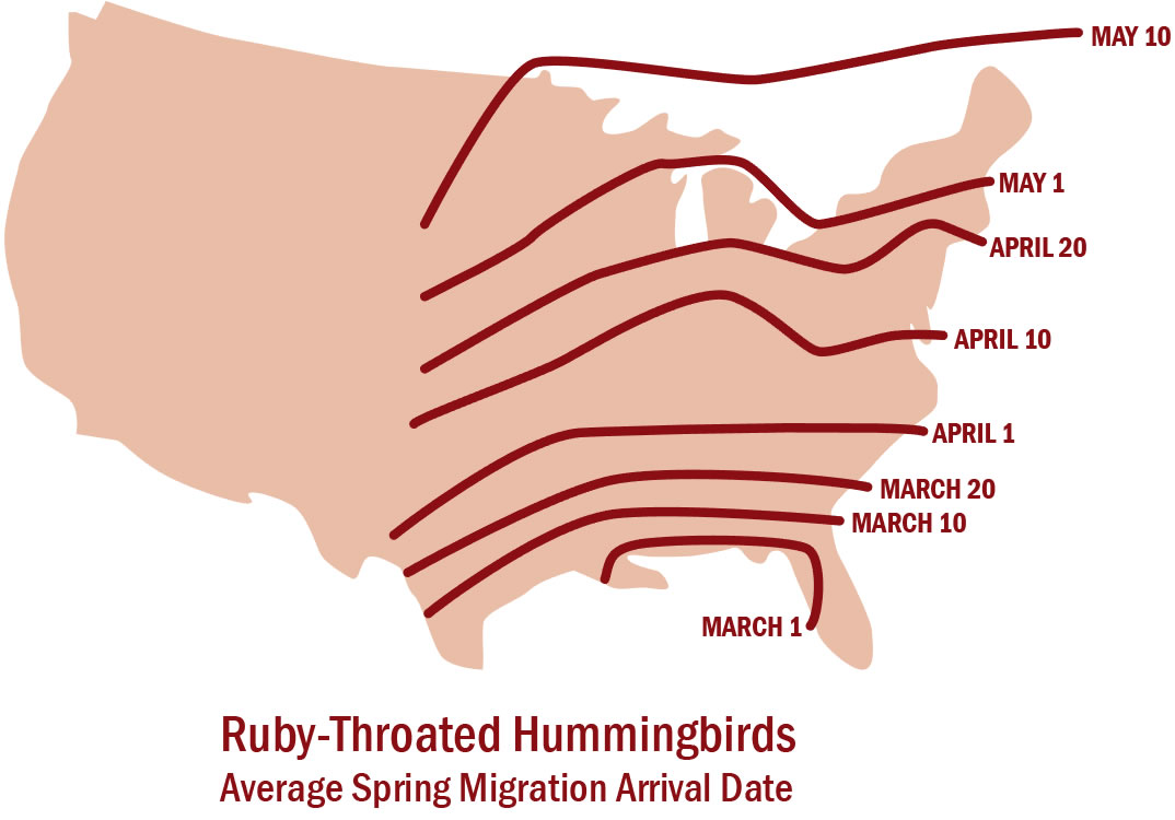 map of typical ruby-throated hummingbird spring migration arrival date