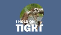 photo of osprey with words: I Hold on Tight