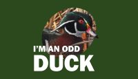 Wood duck photo featuring words: I'm an Odd Duck