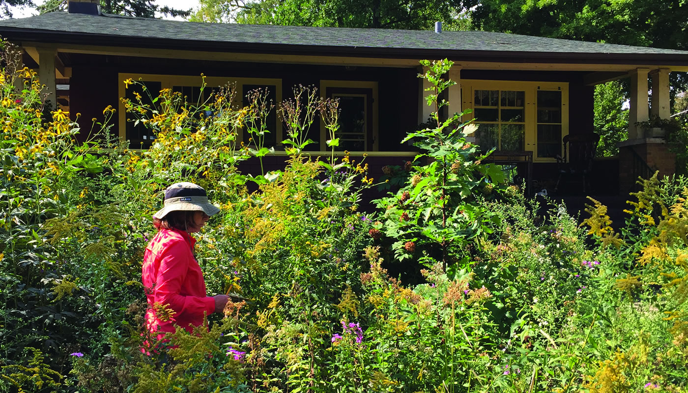 a Conservation at Home evaluator in a home garden.