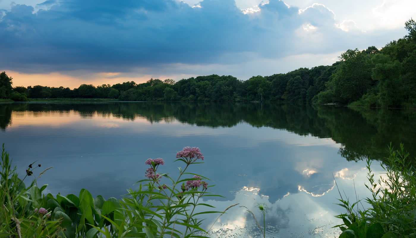 Horsetail Lake - Forest Preserves of Cook County