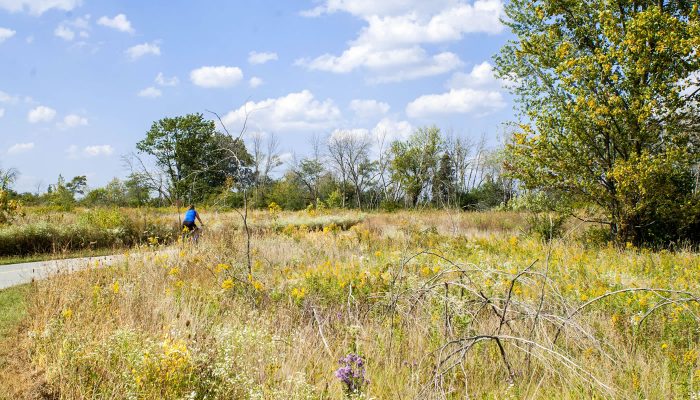 Paved trail at Orland Grassland. Photo by Andrew Dunning.