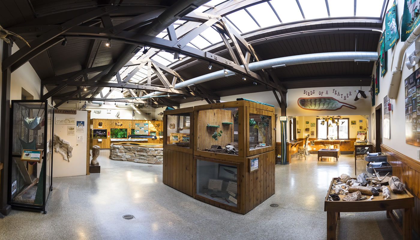 one of the exhibit rooms inside River Trail Nature Center