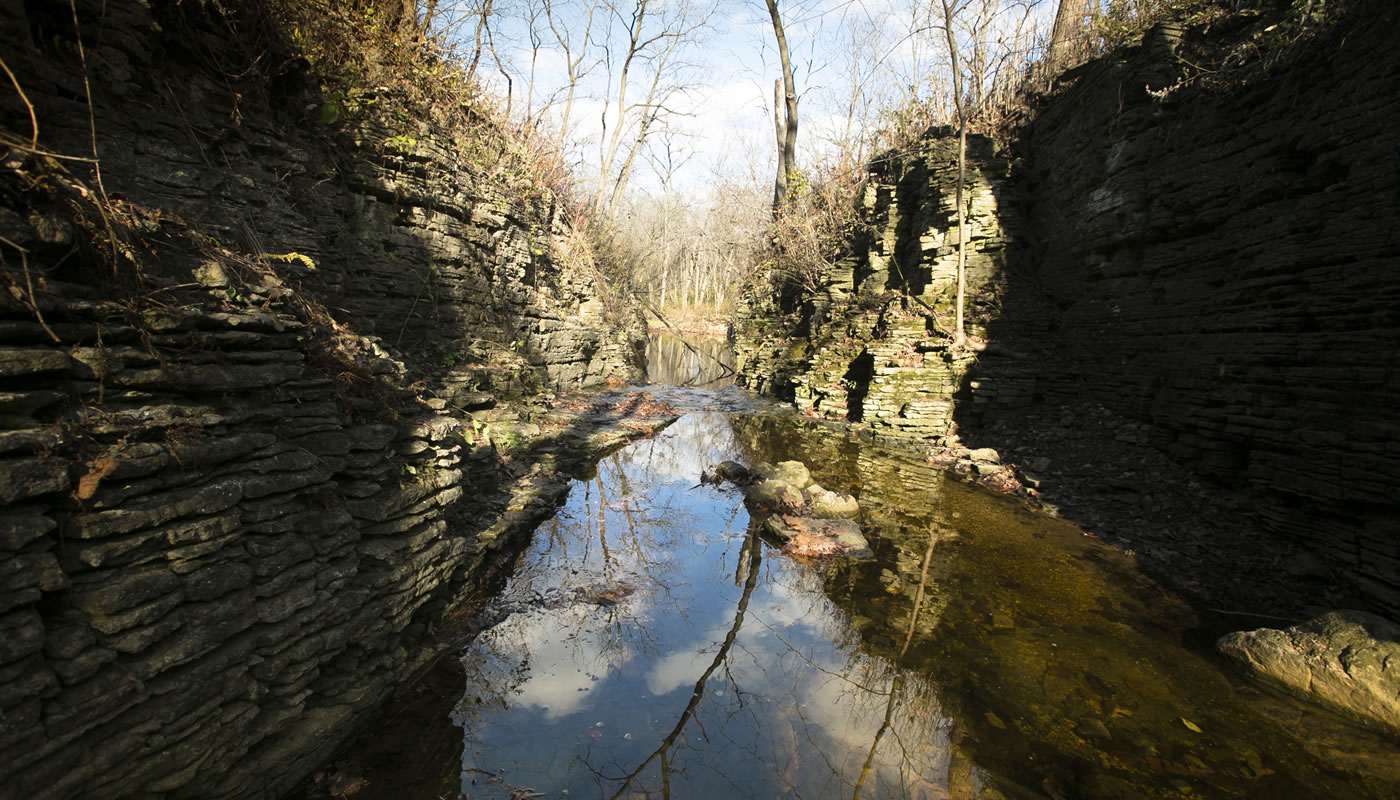 Sagawau Canyon at Sagawau Environmental Learning Center