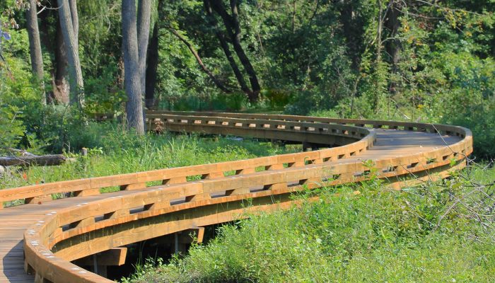 the boardwalk on the Lost Beach Trail at Sand Ridge Nature Center