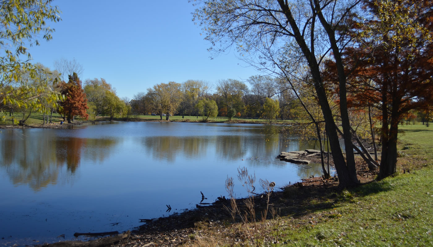 Schiller Woods Pond. Photo by Jeremy Riel.