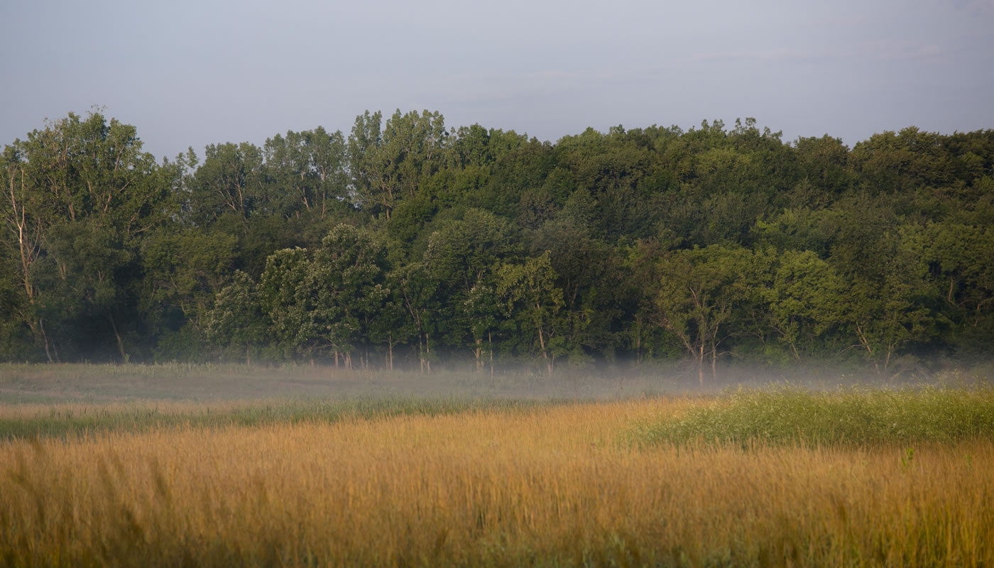 open fields at Spring Lake