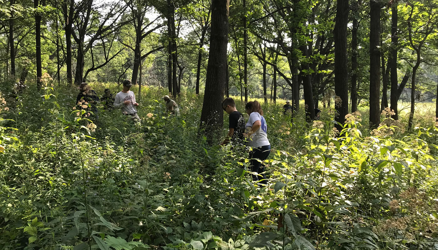 volunteers at Swallow Cliff Woods. Photo by Kris DaPra.