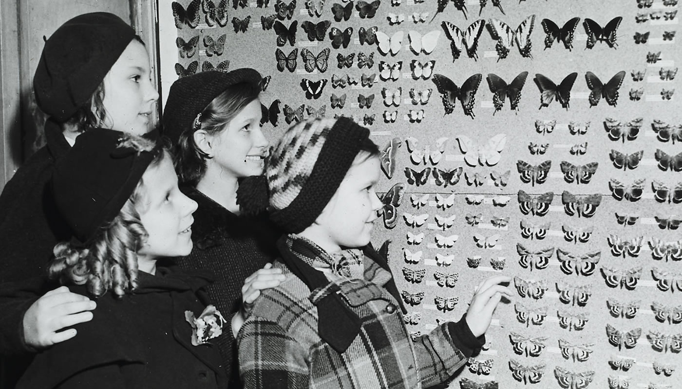 Four children looking at a a butterfly display at Trailside Museum of Natural History. 1930s photograph.