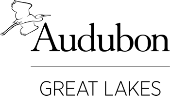 Audubon Great Lakes logo