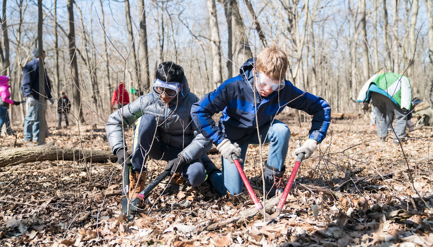 two volunteers cut buckthorn with loppers at River Trail Nature Center