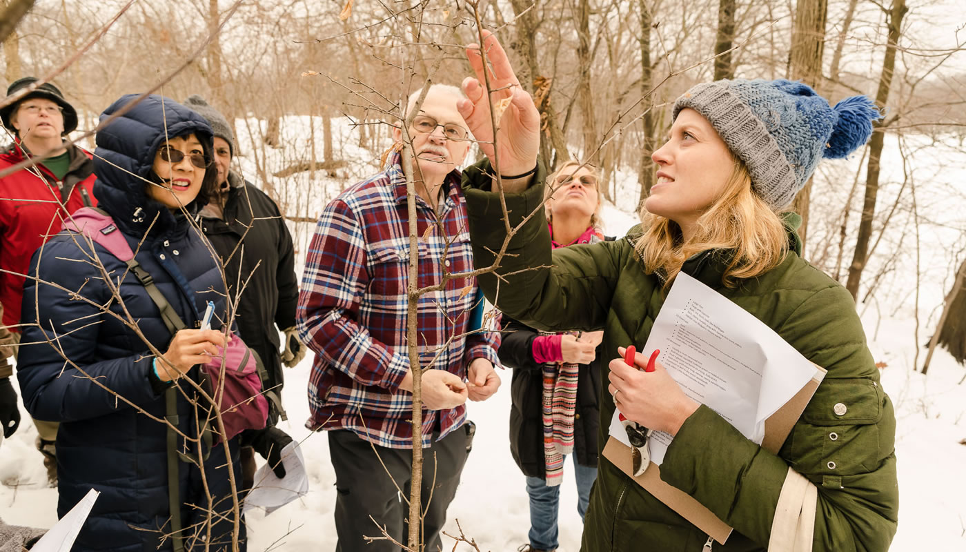 people around a tree in winter, learning how to identify it. Photo by Dan Kasberger.