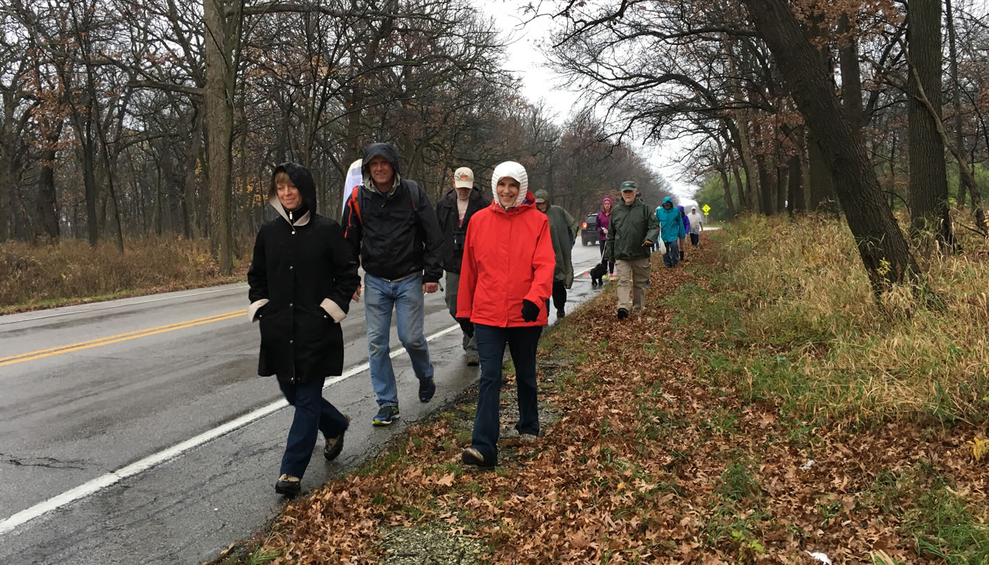 Master Naturalists on a rainy November hike near Bemis Woods. Photo by Brigit Holt.