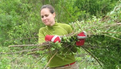 a volunteer carrying cut brush