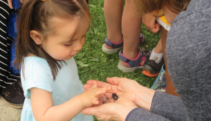 kids inspect an insect in someone's hand