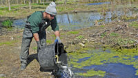 a Forest Preserves biologist stocks fish in a lake