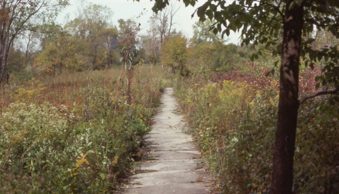 Wolf Road Prairie in fall