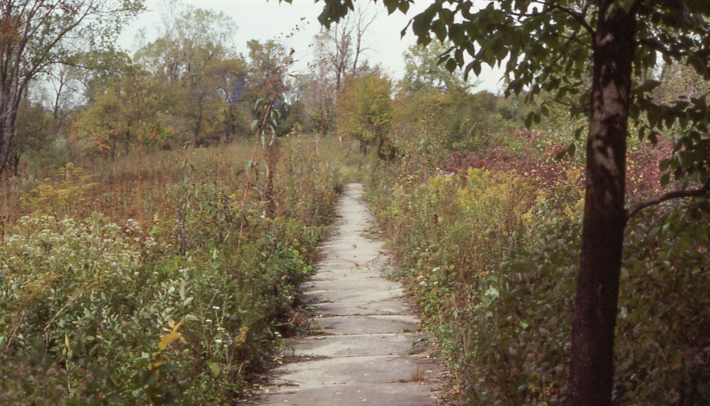 a sidewalk in Wolf Road Prairie in 1985