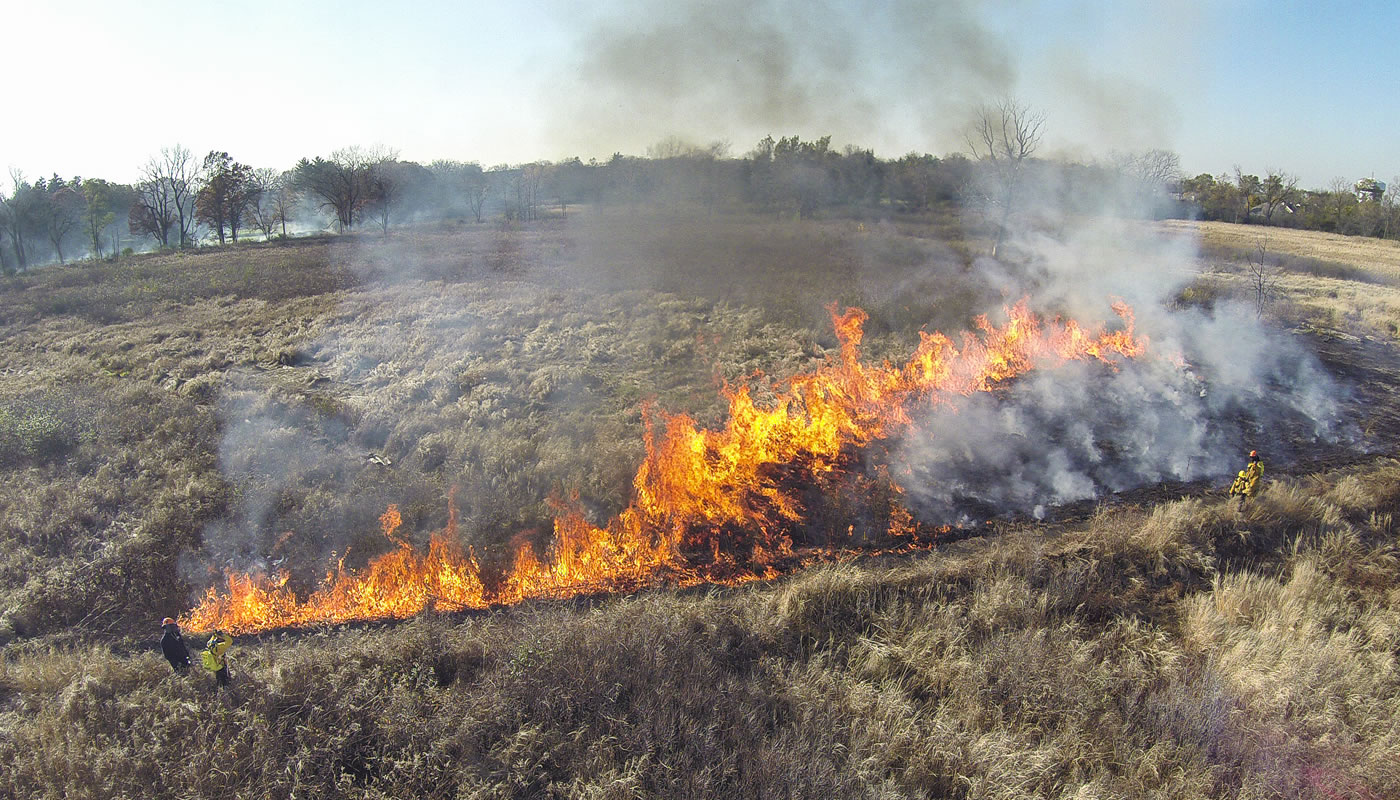 A prescribed burn at Wolf Road Prairie.