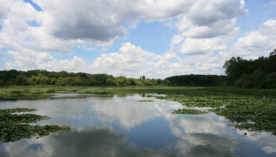 McGinnis Slough