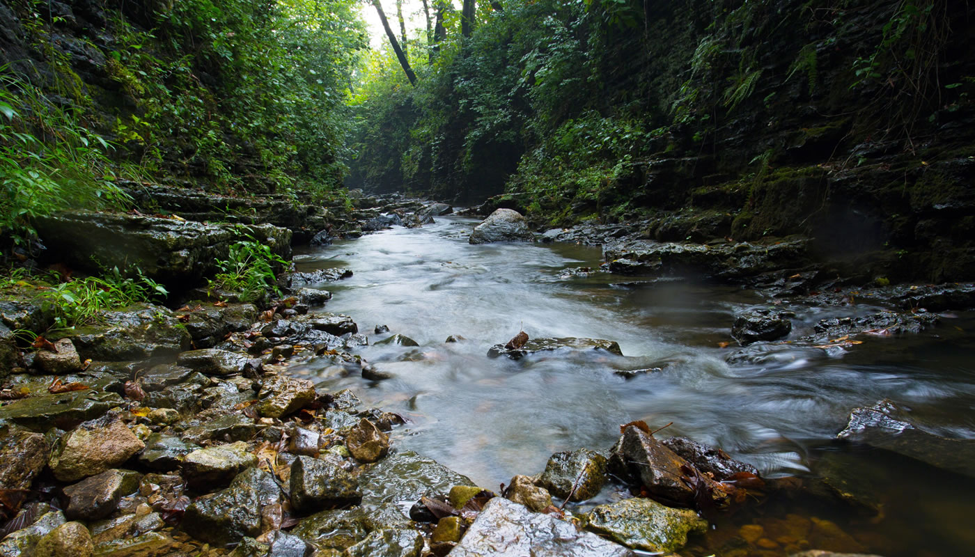 Sagawau Canyon