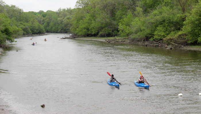 canoes and kayaks racing on the Des Plaines River