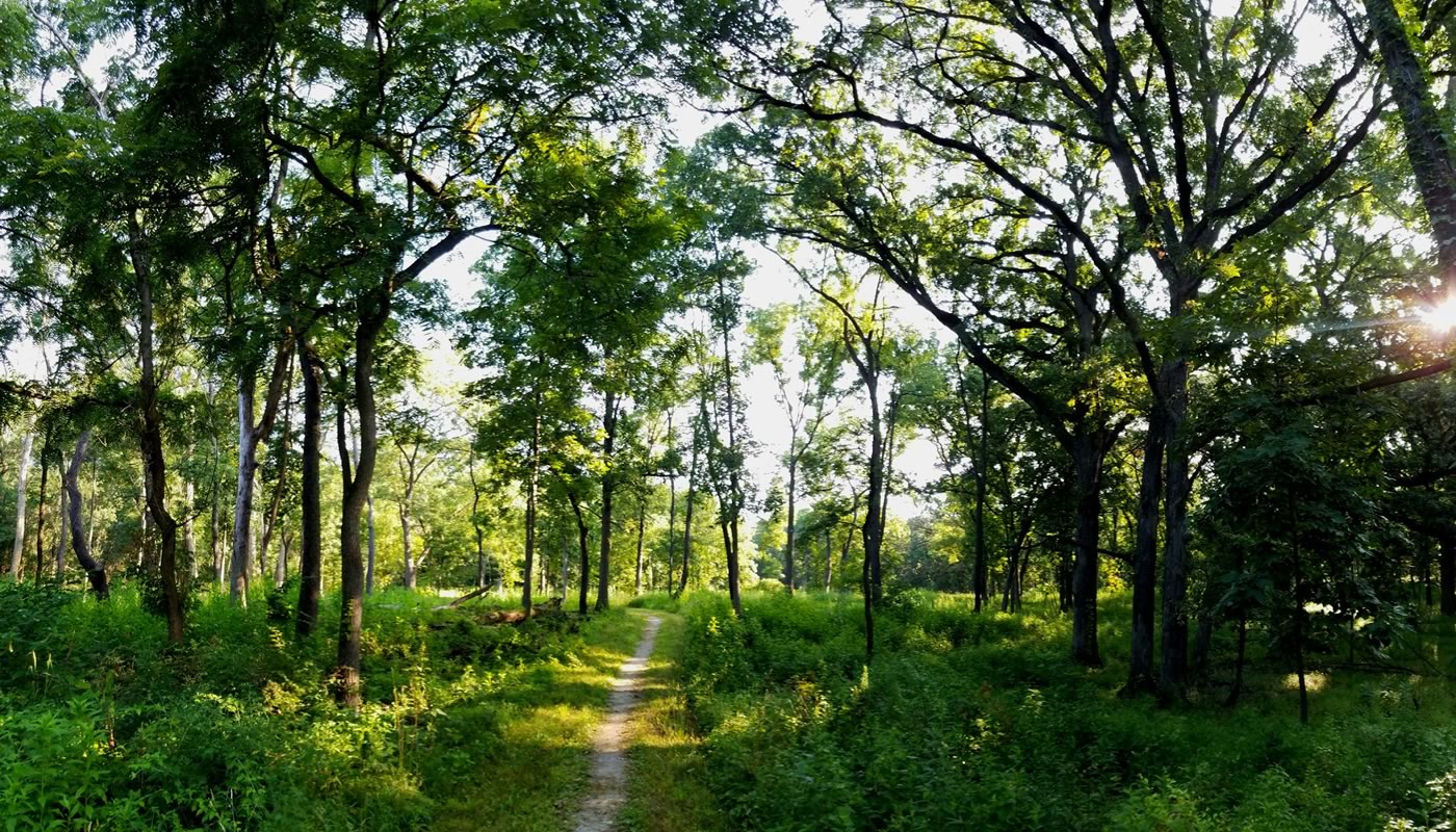 Ida Lake and Arie Crown Yellow Unpaved Loop Trail, Cook County