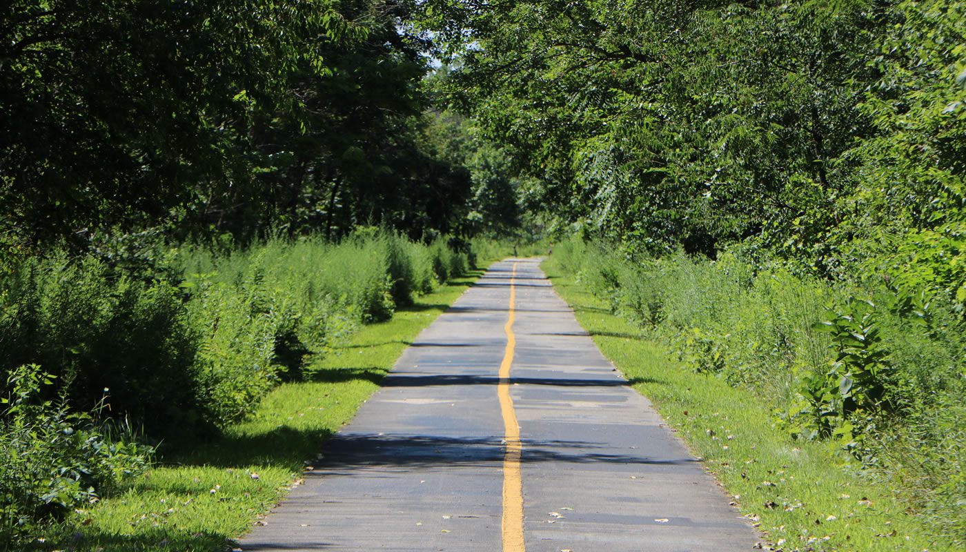 a long straight stretch of trail with woods on either side on the Burnham Greenway Trail