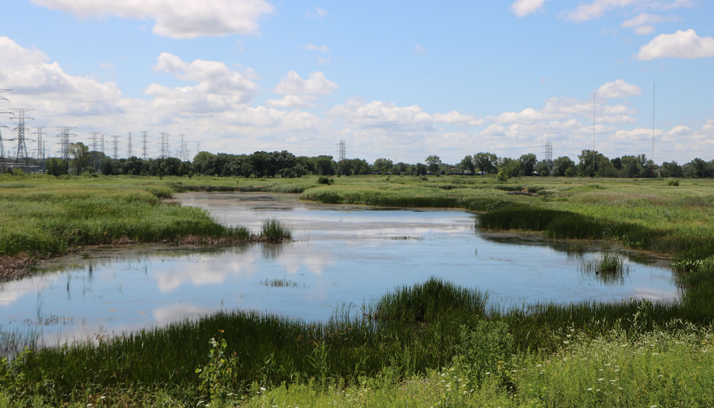 a large expanse of wetlands at Burnham Prairie Nature Preserve