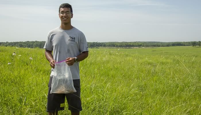 Israel Gomez collecting seed at Poplar Creek