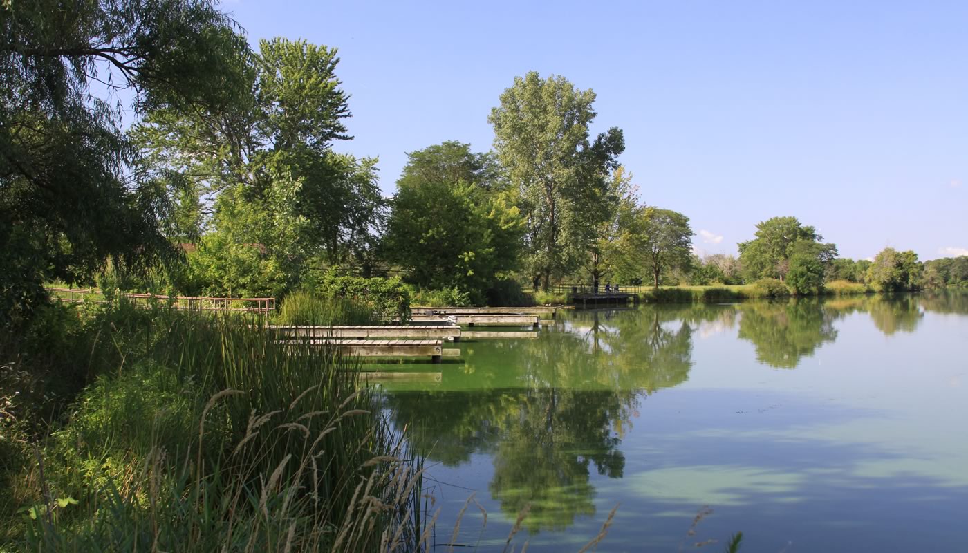 tampier lake - forest preserves of cook county