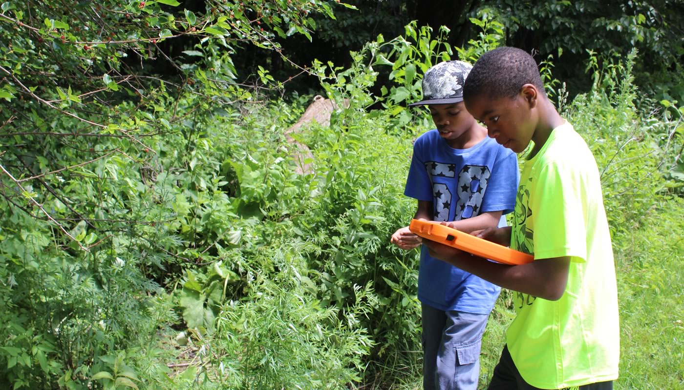 two volunteer monitors looking at plants and recording data