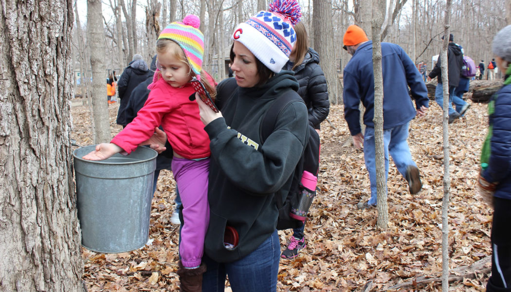 River Trail Nature Center - Forest Preserves of Cook County