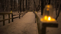 a trail covered in snow and lined with candles at night at trees and ground covered with snow at River Trail Nature Center