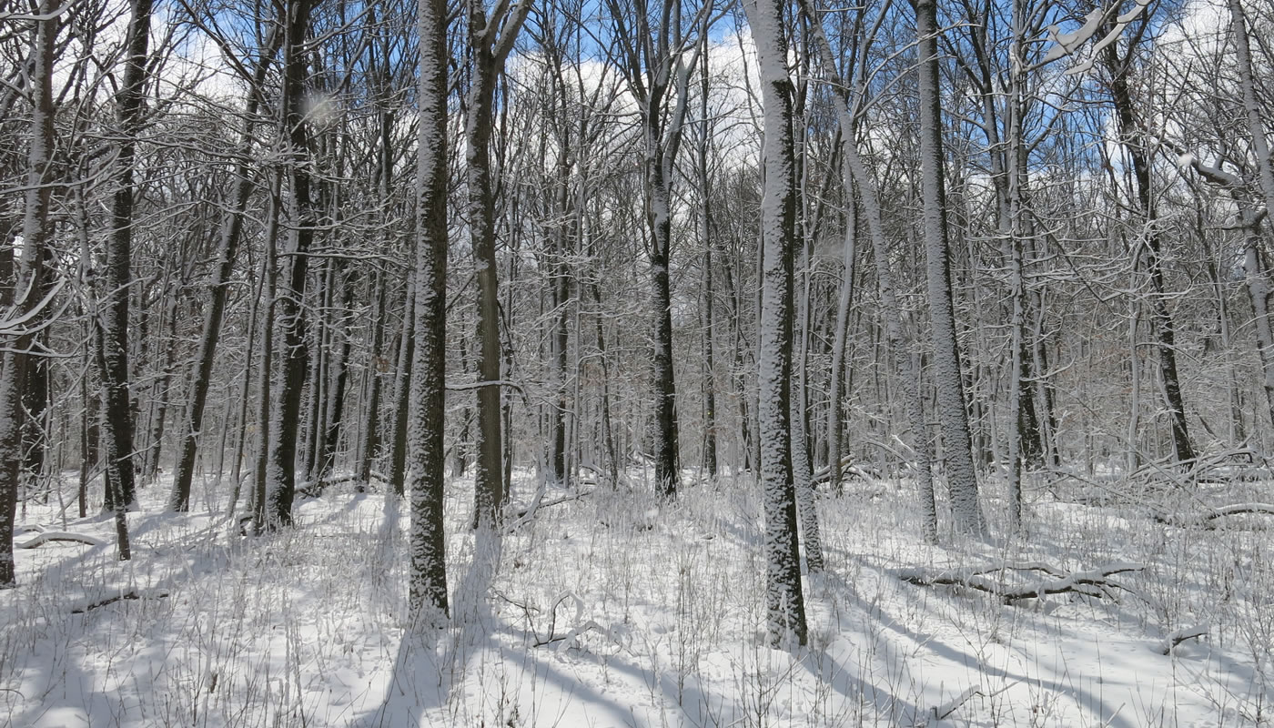 Hike the Preserves: Fitness Hike